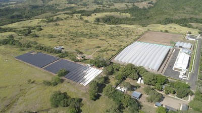 Khiron's 2,600 panel Solar Park at it's Doima, Colombia facility (CNW Group/Khiron Life Sciences Corp.)